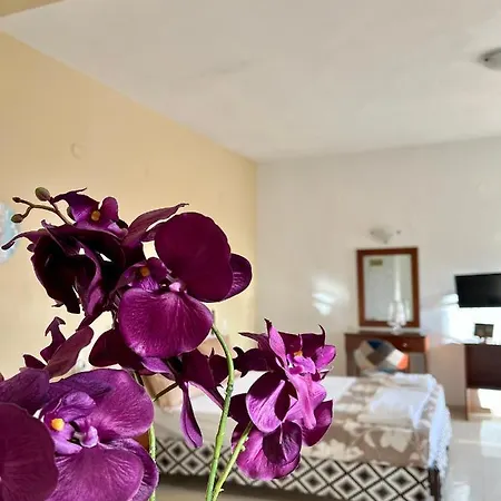 诺蒂卡公寓酒店 3*